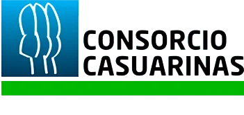 Consorcios