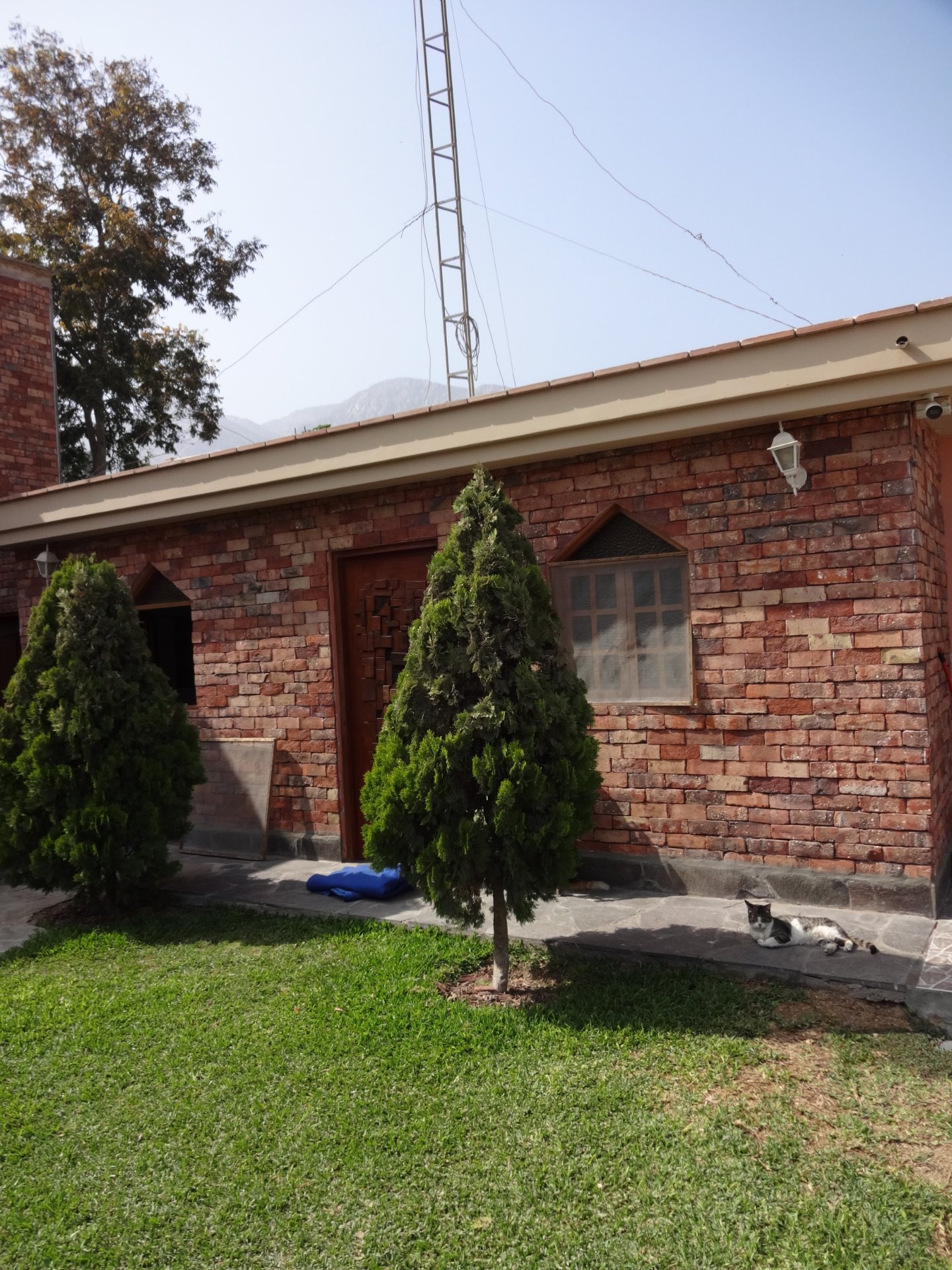 Enchape Antaño: fachada de casa de ladrillo con jardín